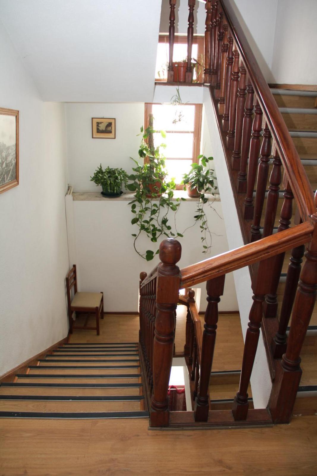 セロリコ・ダ・ベイラ Residencial Parque Bed & Breakfast エクステリア 写真